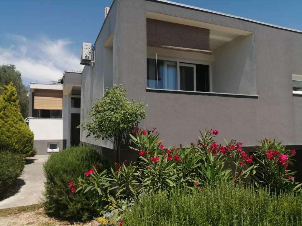 Apartments Dora 2 Bibinje Dış mekan fotoğraf
